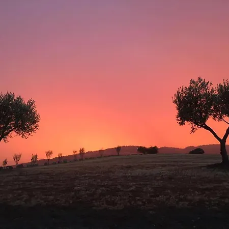 Alloggio per agriturismo Pianderna Agriwellness