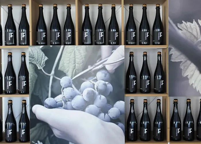 Pianderna Agriwellness Scandiano