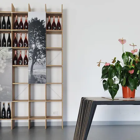 בית חווה Pianderna Agriwellness סקנדיאנו