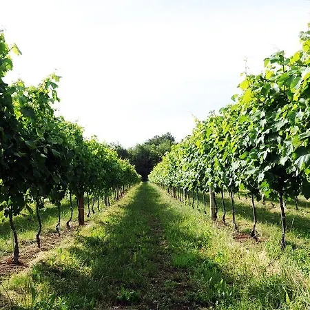 Pianderna Agriwellness * Scandiano