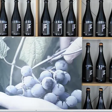 בית חווה Pianderna Agriwellness *