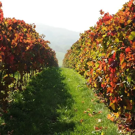 Pianderna Agriwellness