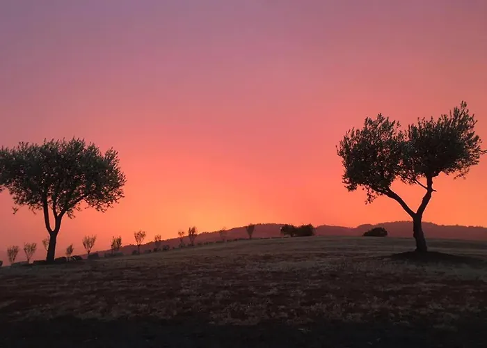 مزرعة للإقامة Pianderna Agriwellness