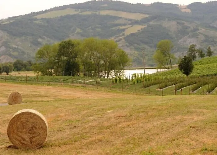 팜스테이 Pianderna Agriwellness *