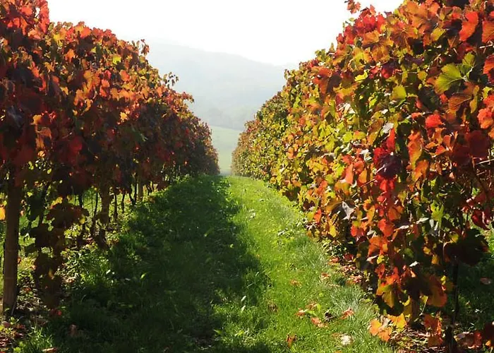 Pianderna Agriwellness